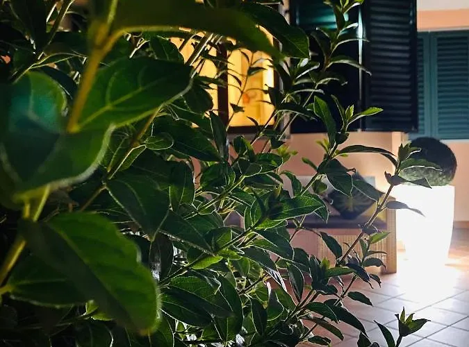 The Loft E&E Open Space